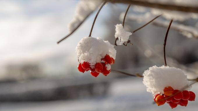 Мокрый снег и -10 градусов ожидают петербуржцев в последний рабочий день