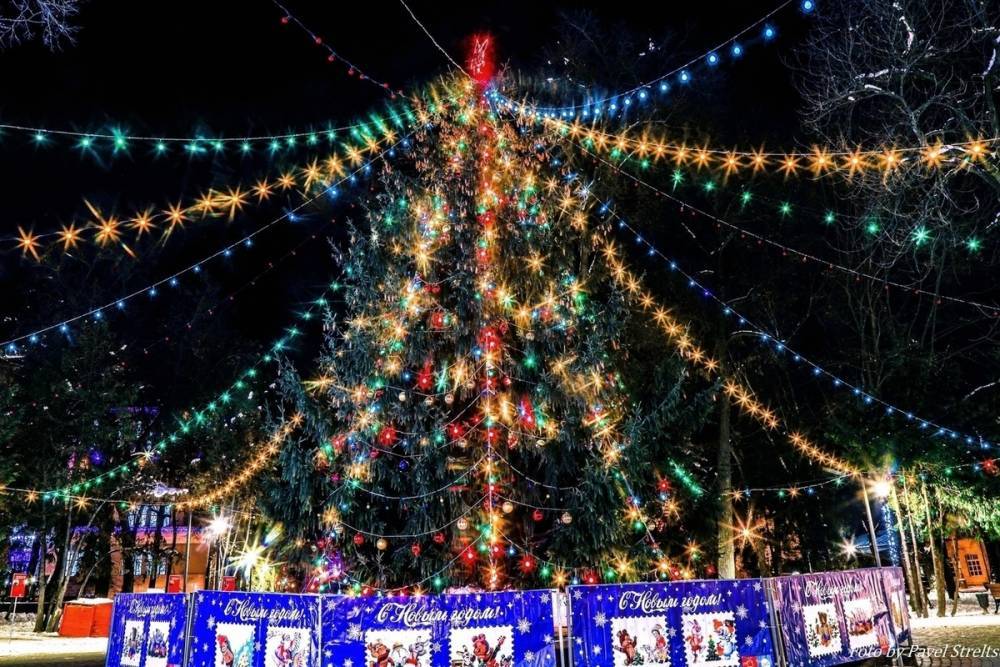 В Брянске сняли на фото красоту главной новогодней елки