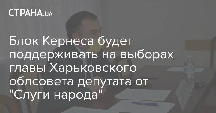 Блок Кернеса будет поддерживать на выборах главы Харьковского облсовета депутата от "Слуги народа"