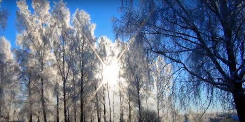 Включен режим теплой зимы: морозы сохранят свою власть только в восточных регионах! Погода в Украине на 11 декабря 2020 года