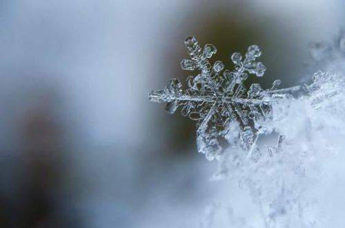 11 декабря в Украину придет мокрый снег, ледяной дождь и порывистый ветер