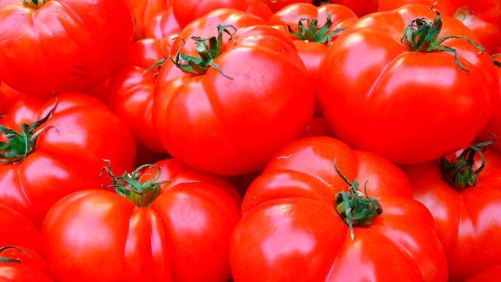 Ввоз томатов под запретом: эксперты оценили, хватит ли своей продукции