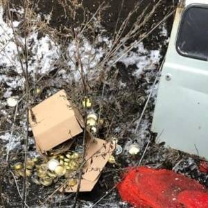 В Харьковской области сгорел микроавтобус с контрабандной икрой. Видео