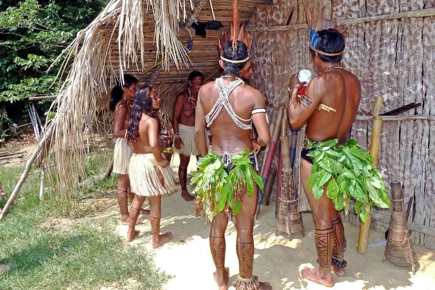 В лесах Амазонии обнаружили загадочные древние деревни