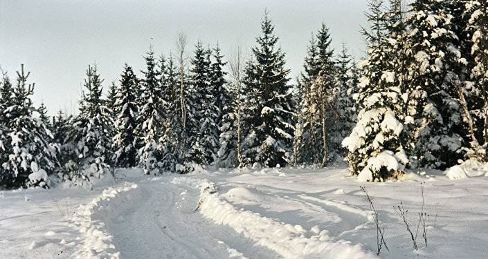 Зимней сказки на Рождество в Латвии можно не ждать: синоптики рассказали о погоде