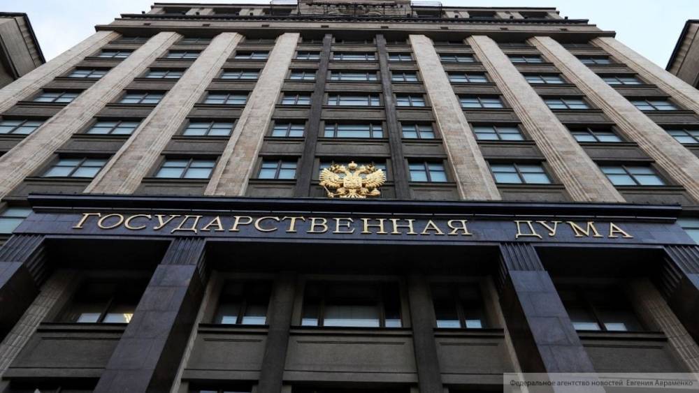 Намерения МУС о проведении расследования на Украине поддержали в Госдуме РФ