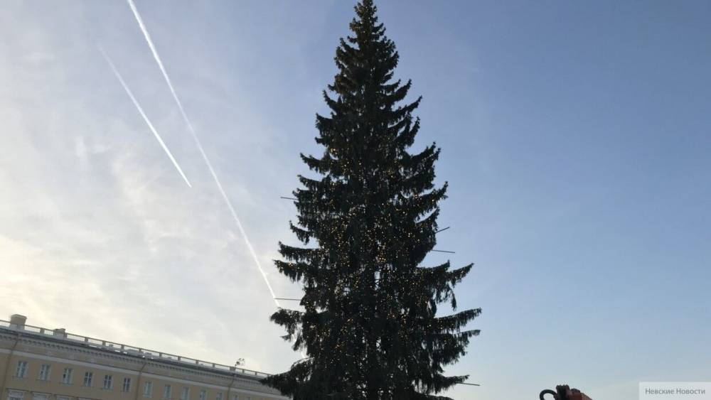 Рабочие начали украшать главную елку Петербурга на Дворцовой площади