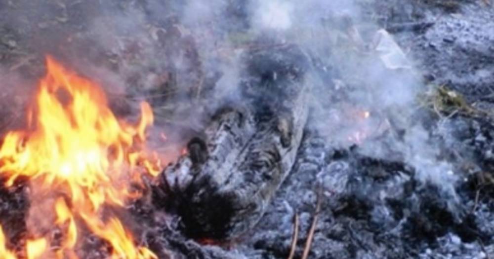 Под Хабаровском локализовали пожар на горящей две недели свалке