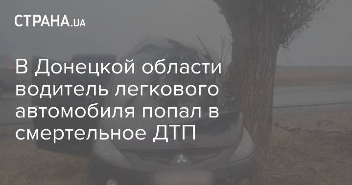 В Донецкой области водитель легкового автомобиля попал в смертельное ДТП