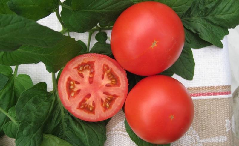 Характеристика сортов и гибридов томатов (Мечта, Настена Р1 и Украинский солестойкий )