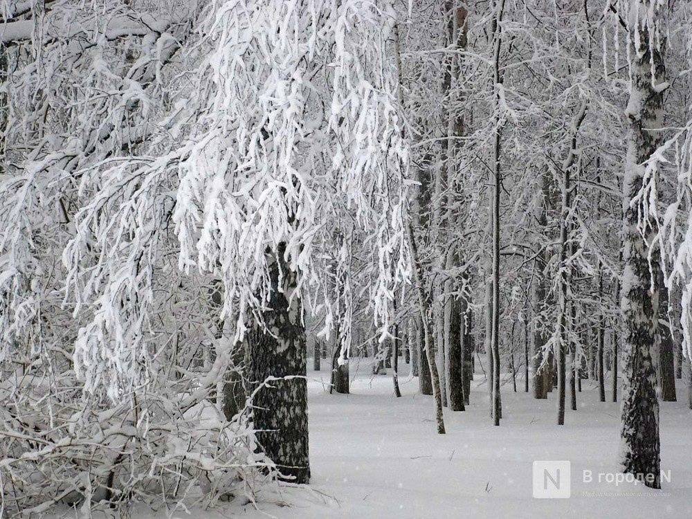 Потепление до -3°С и снегопады придут в Нижний Новгород на этой неделе
