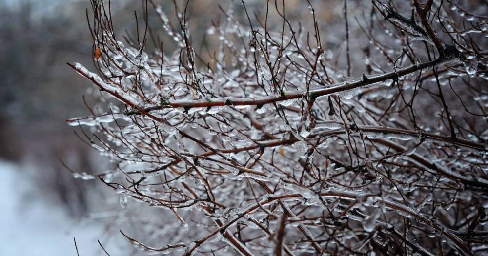Туман, ледяной дождь и мокрый снег: прогноз погоды в Украине на неделю, 14-20 декабря