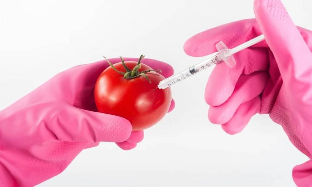 Ученый заявил о необходимости генетически модифицированных продуктов