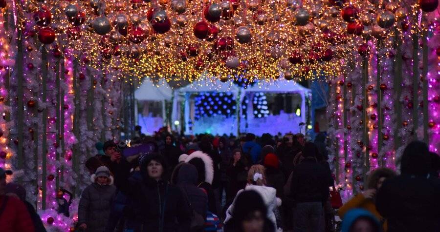 Введение жесткого карантина на новогодние праздники не планируется – Кремль