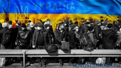 Киевский политик признался, что безвиз с Европой принес Украине только горе