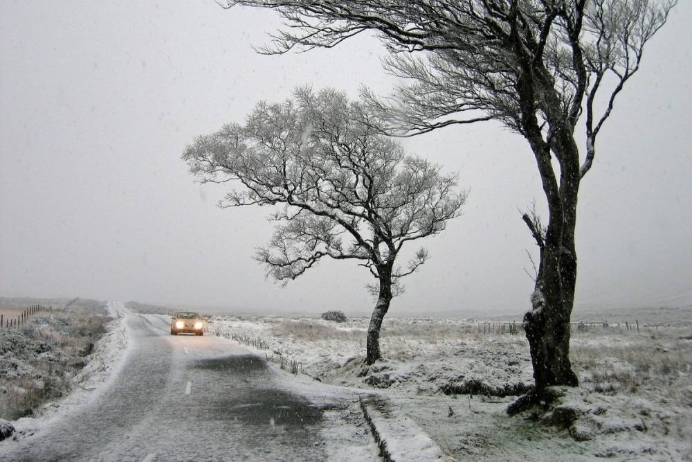 Снег и гололедица: какая погода ожидает брянцев 15 декабря