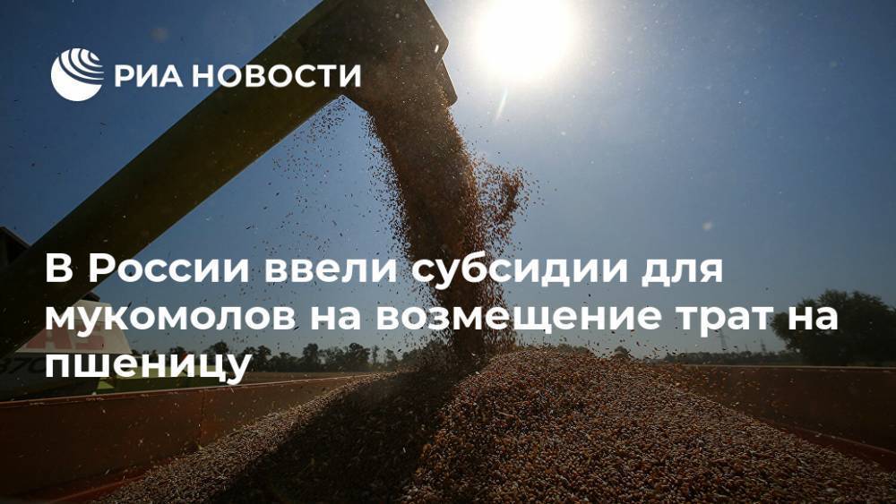 В России ввели субсидии для мукомолов на возмещение трат на пшеницу