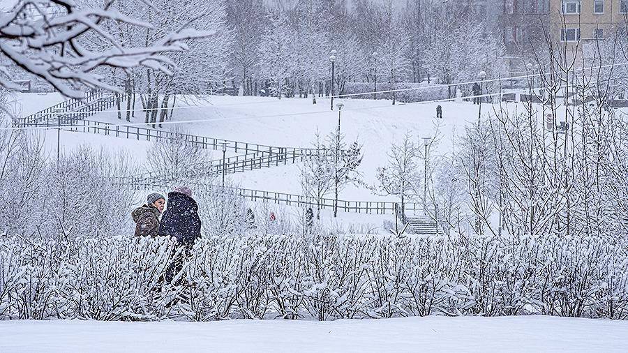 Синоптик предупредил москвичей о мощных снегопадах в канун Нового года