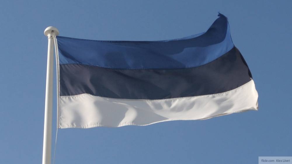 Эстония анонсировала референдум по бракам