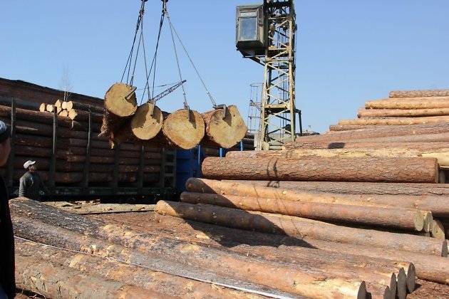 Глава Забайкалья заявил, что контрабанда леса в Китай полностью перекрыта