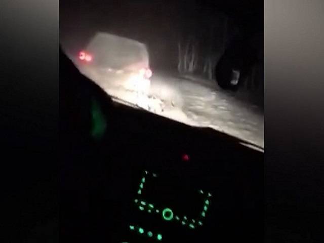 В Челябинской области полицейские задержали банду угонщиков элитных автомобилей