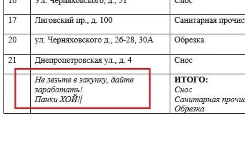 Петербургский муниципалитет в описание госзакупки включил фразу "Дайте заработать"