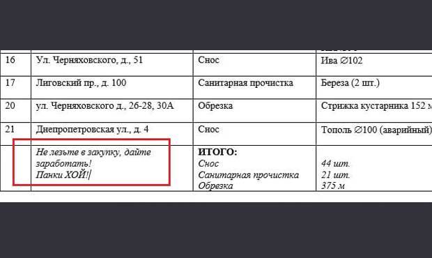 Петербургский мундеп обнаружил госзакупку с зашифрованным посланием «дать заработать»