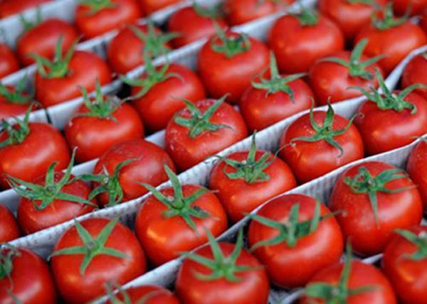 Россия частично возобновила поставки азербайджанских помидоров