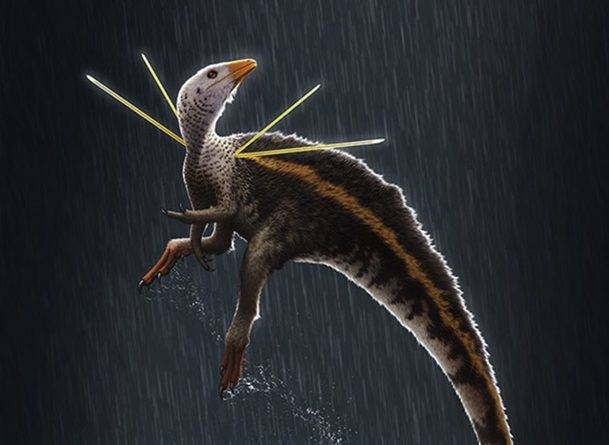 Новый вид динозавров с перьями и гривой найден учёными