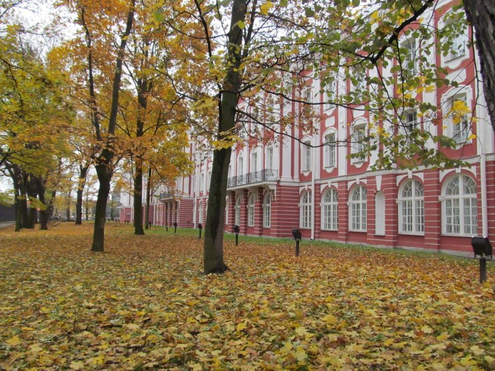 Российские вузы вошли в число лидеров рейтинга университетов QS – Учительская газета