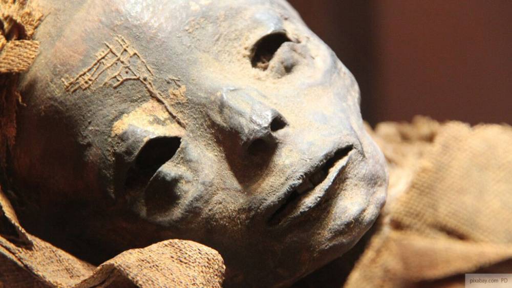 Жители Брянска сообщили о мумии женщины на городской свалке