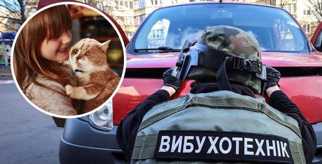 В Одессе первоклассница «заминировала» школу, чтобы поиграть с котенком