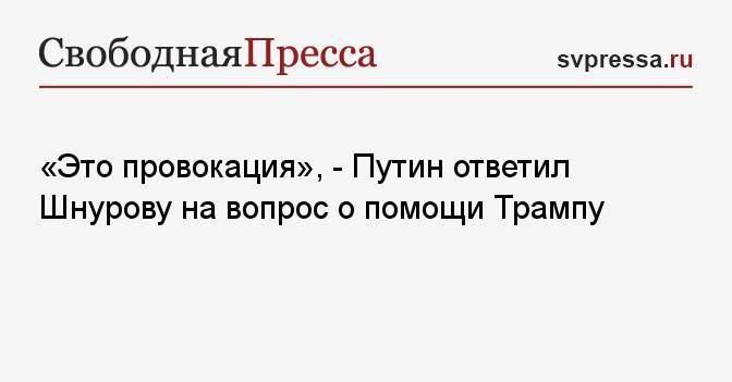 «Это провокация», — Путин ответил Шнурову на вопрос о помощи Трампу