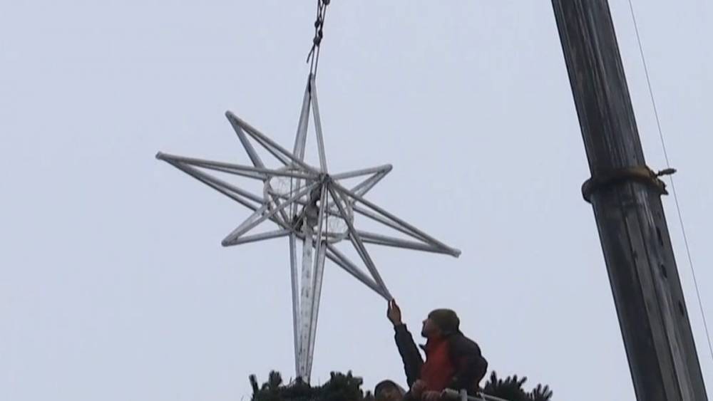 Никакого колдовства: В Киеве на главной ёлке страны появилась звезда
