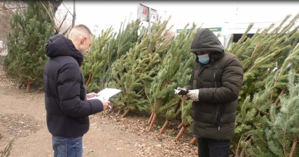 В Астрахани выявляют нелегальных торговцев елками