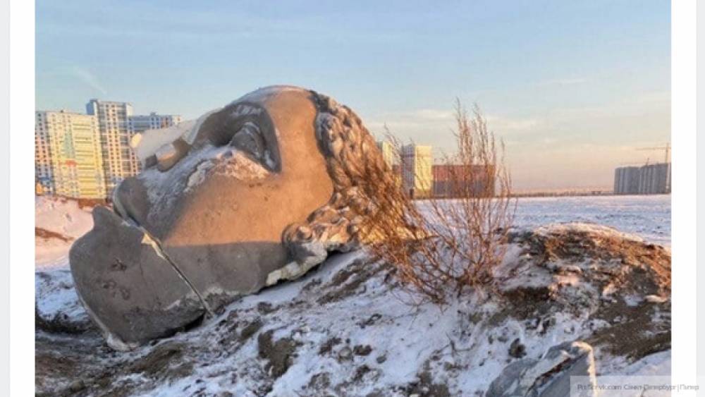Необычная "расчлененка": в Петербурге на Ваське нашли огромную голову