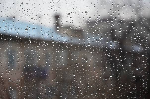 Циклон «Дуглор» принесет в Петербург дожди