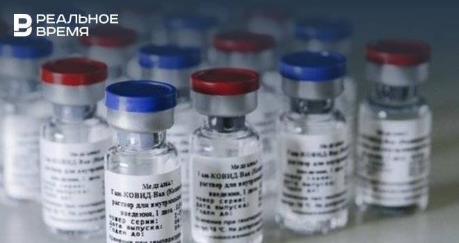 Массовая вакцинация в Татарстане начнется до марта 2021 года