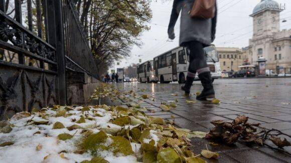 Петербуржцев предупредили о снеге, дожде и гололеде 19 декабря