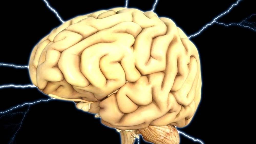 Ученые предупредили об опасной амебе-мозгоеде