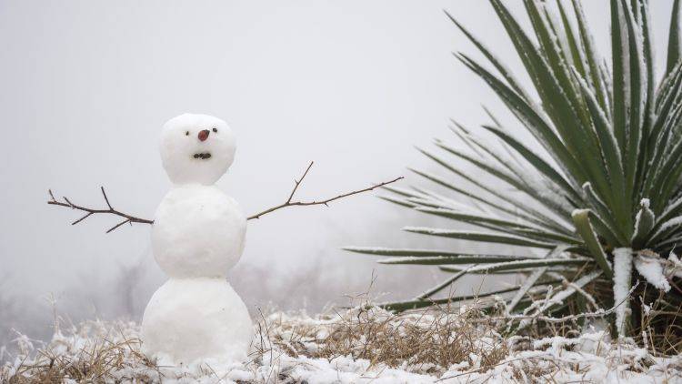 Морозная зима заглянет в Крым на выходные – прогноз погоды от ФОБОСа