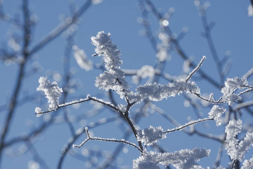 В Тамбовской области прогнозируют снег и похолодание