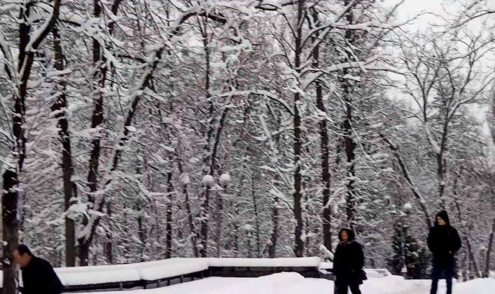 Температурные качели попортят украинцам нервы: синоптики рассказали, какой будет погода на два Рождества и Новый год