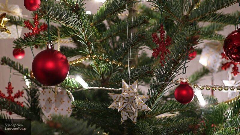 При выборе новогодней елки советуют обращать внимание на цвет ее иголок