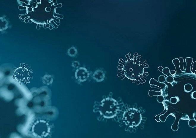 В ЮАР начала распространяться новая разновидность коронавируса