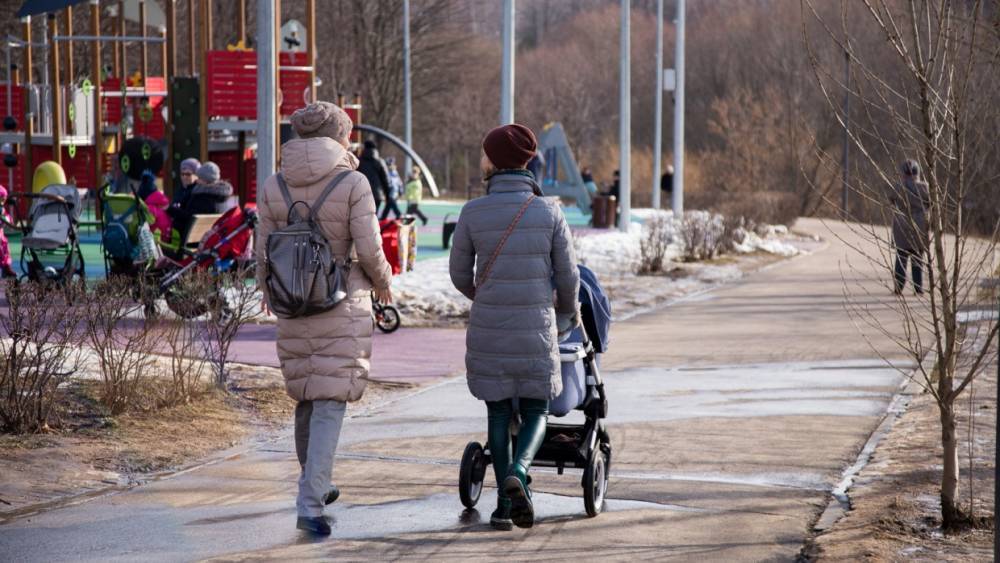 Депутат Госдумы предложил назначить зарплаты для матерей