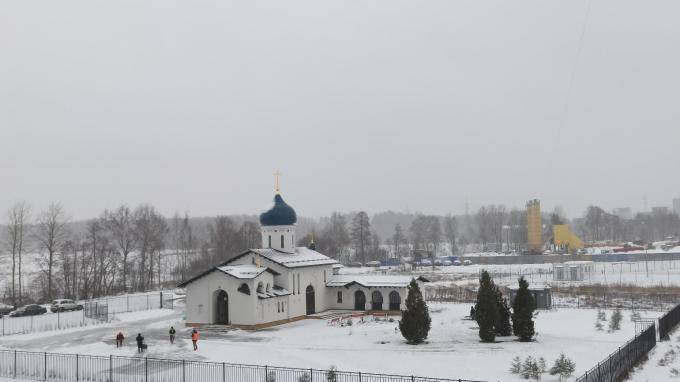 Жители Приморского района нашли "потерянные" деревья, которые выкопали для благоустройства у церкви