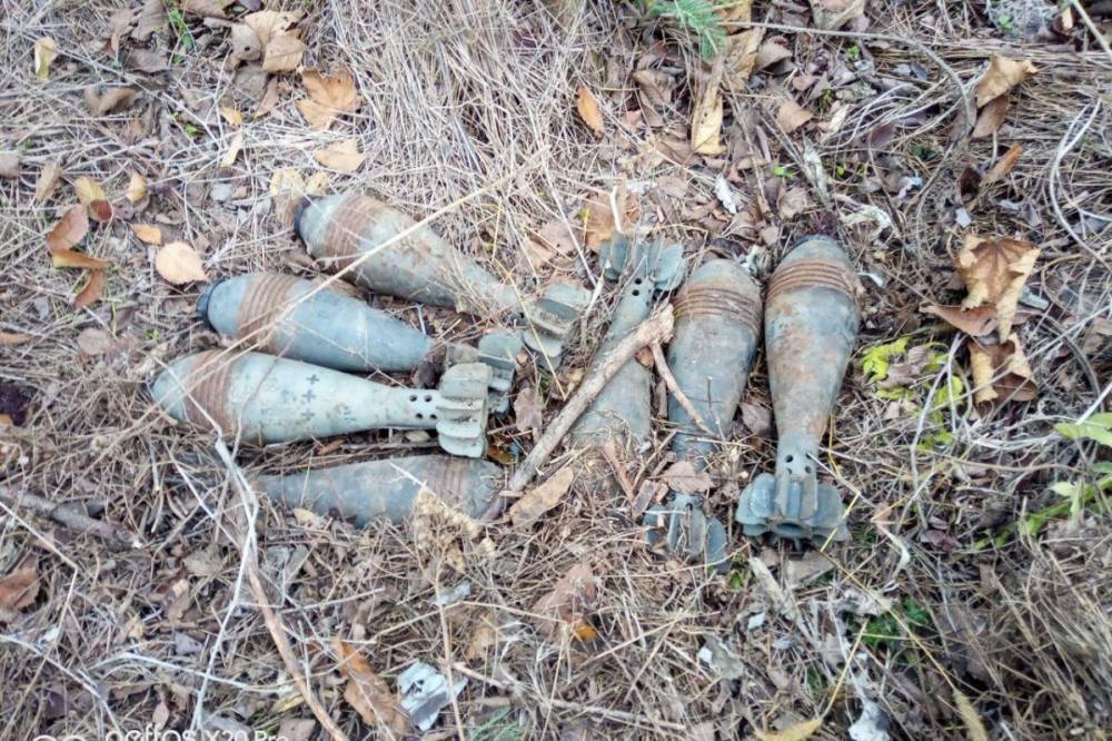 В Донецкой области пограничники нашли у дороги минометные снаряды