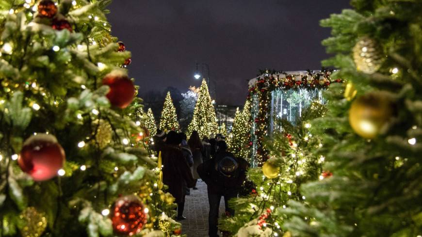 В Москве к середине декабря установят свыше 1000 новогодних елей