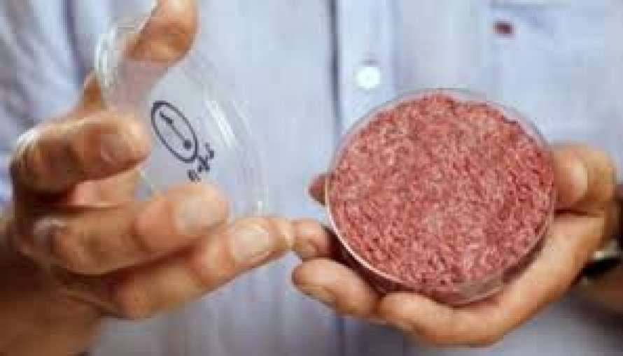 В мире начались первые продажи искусственного мяса